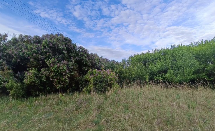 działka na sprzedaż - Nowa Wieś Wielka, Makowa