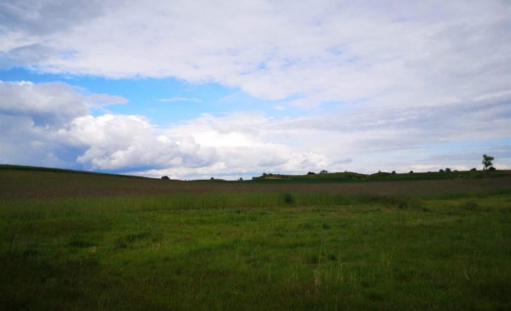 działka na sprzedaż - Koronowo (gw), Wilcze